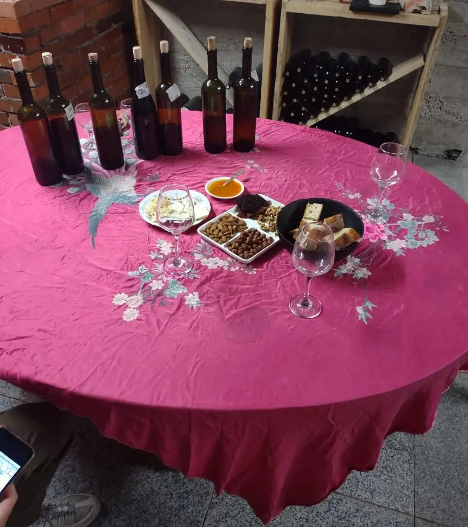 Bookwine Tasting In Tbilisi Bed & Breakfast