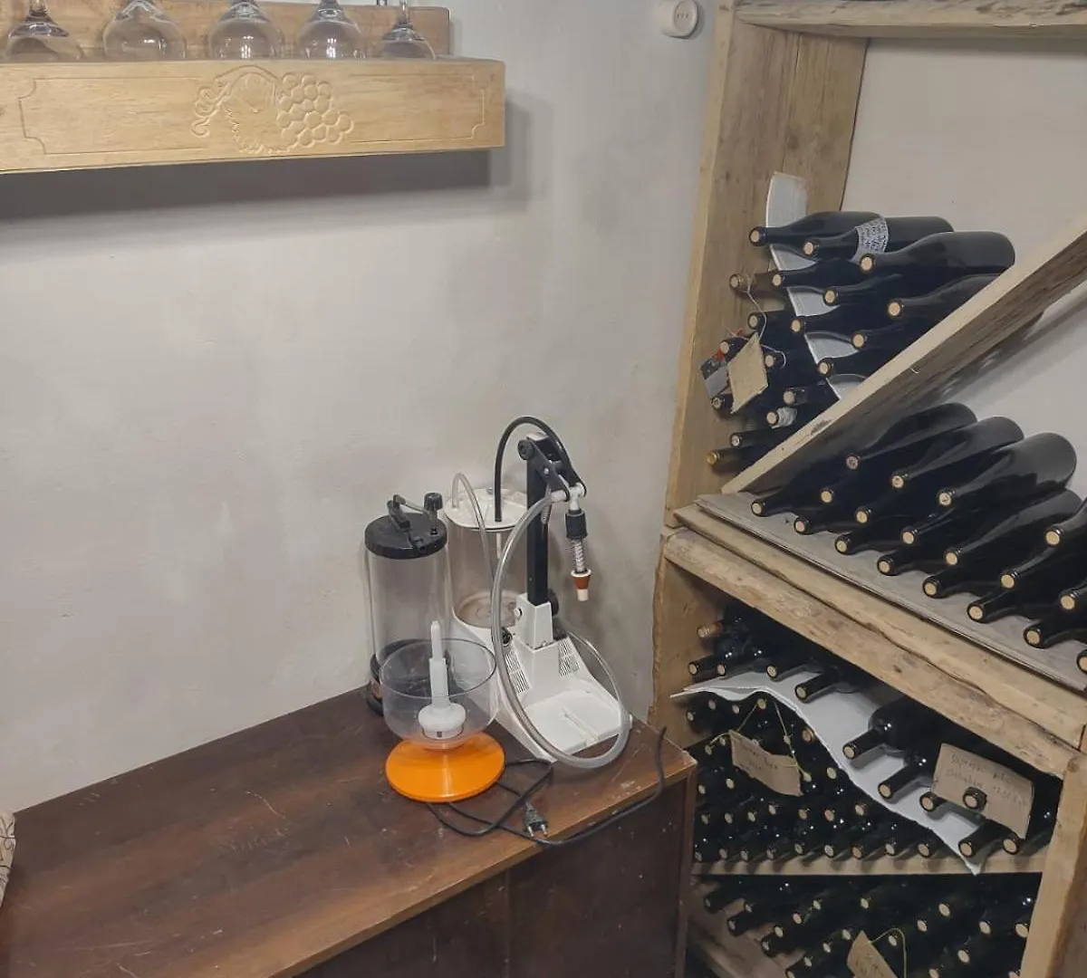 Bed and Breakfast Bookwine Tasting In Tbilisi